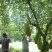 菠萝蜜15~20公斤