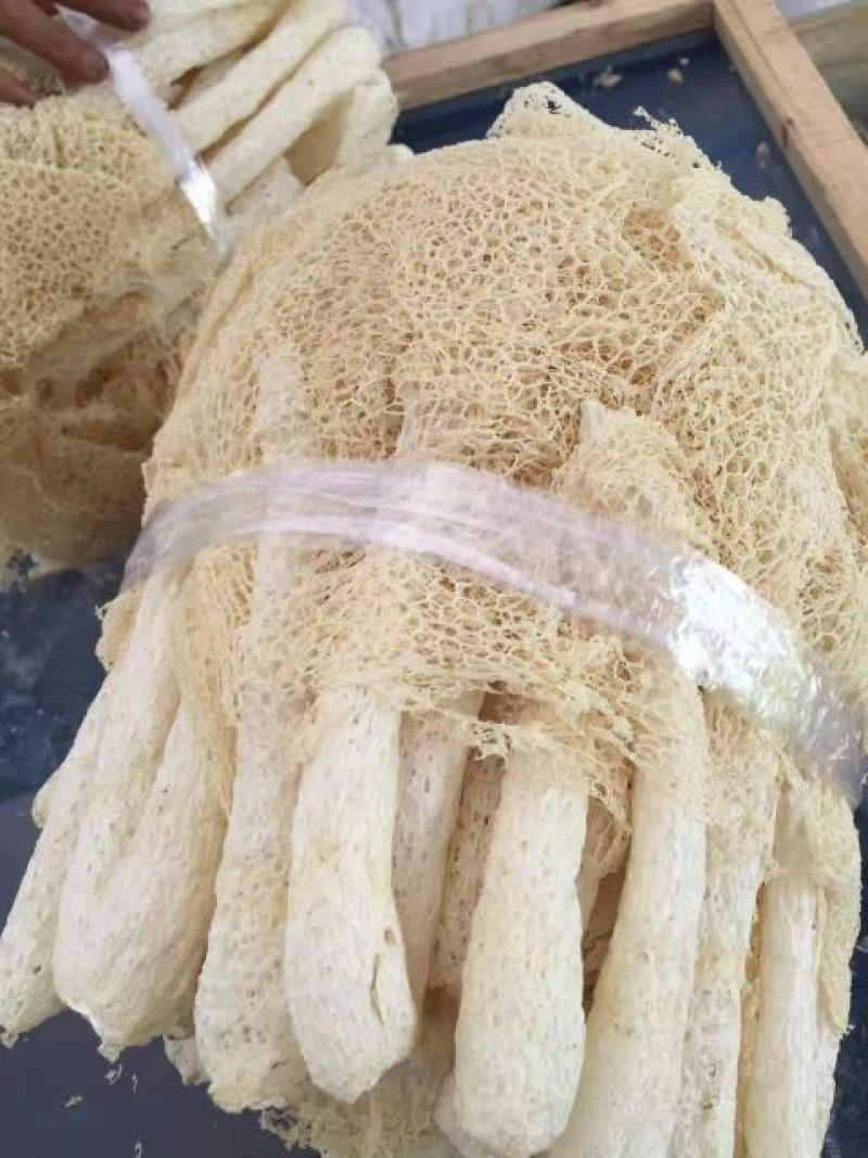 干竹荪一级