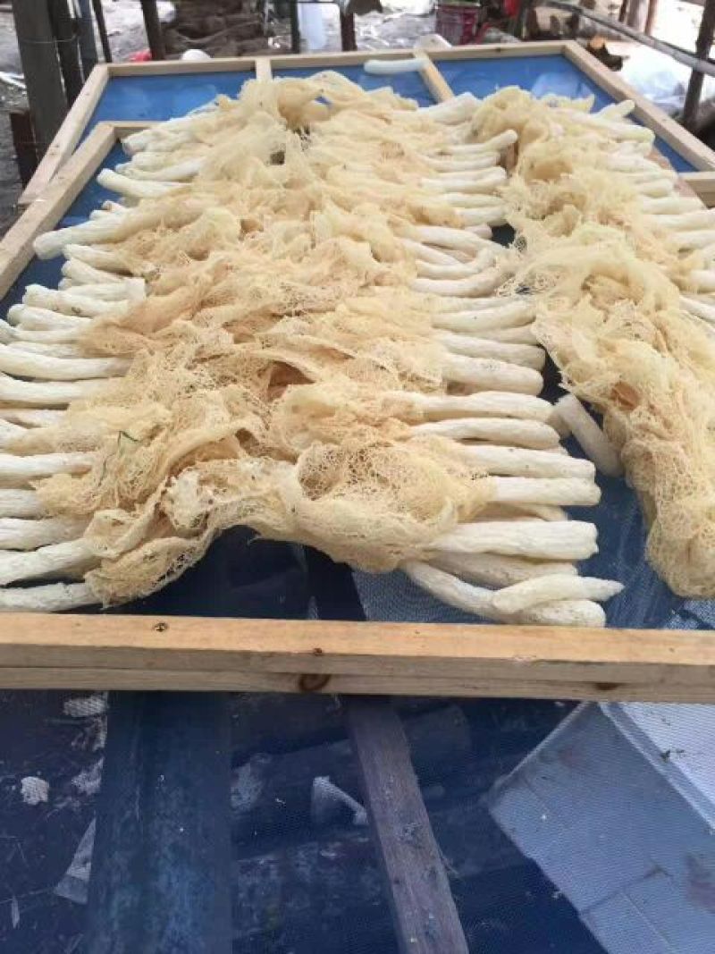 干竹荪一级