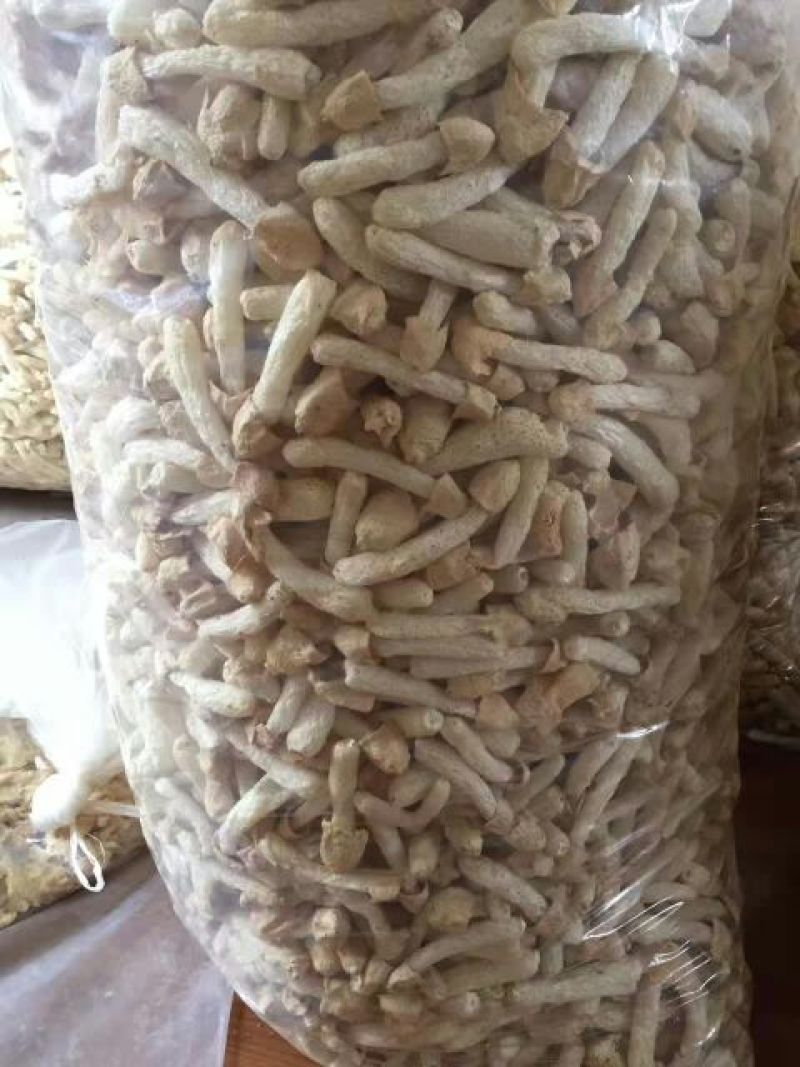 干竹荪一级