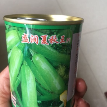 耐热油葫芦种子～夏秋王