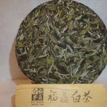 福鼎白茶