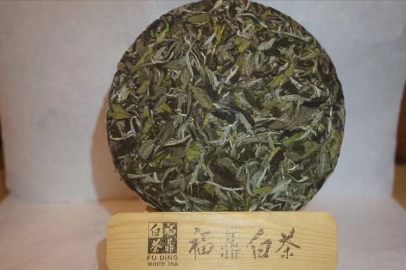 福鼎白茶