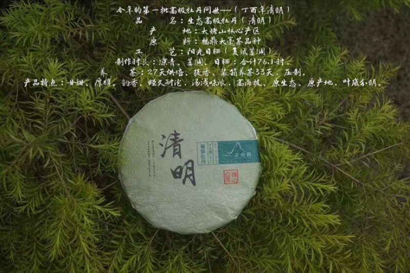 福鼎白茶