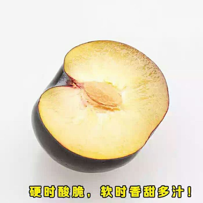 黑布林李子35~40mm