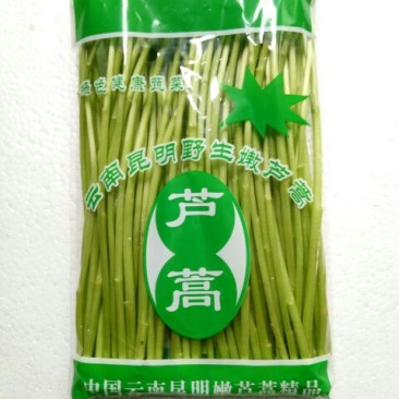 芦篙