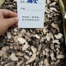 猪苓河南干货人工种植一公斤起包邮