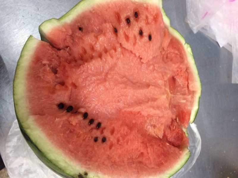 甜王西瓜现以上市欢迎洽谈