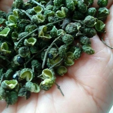 九叶青花椒一级干，可少量发货。货真价实，绝不以次充好