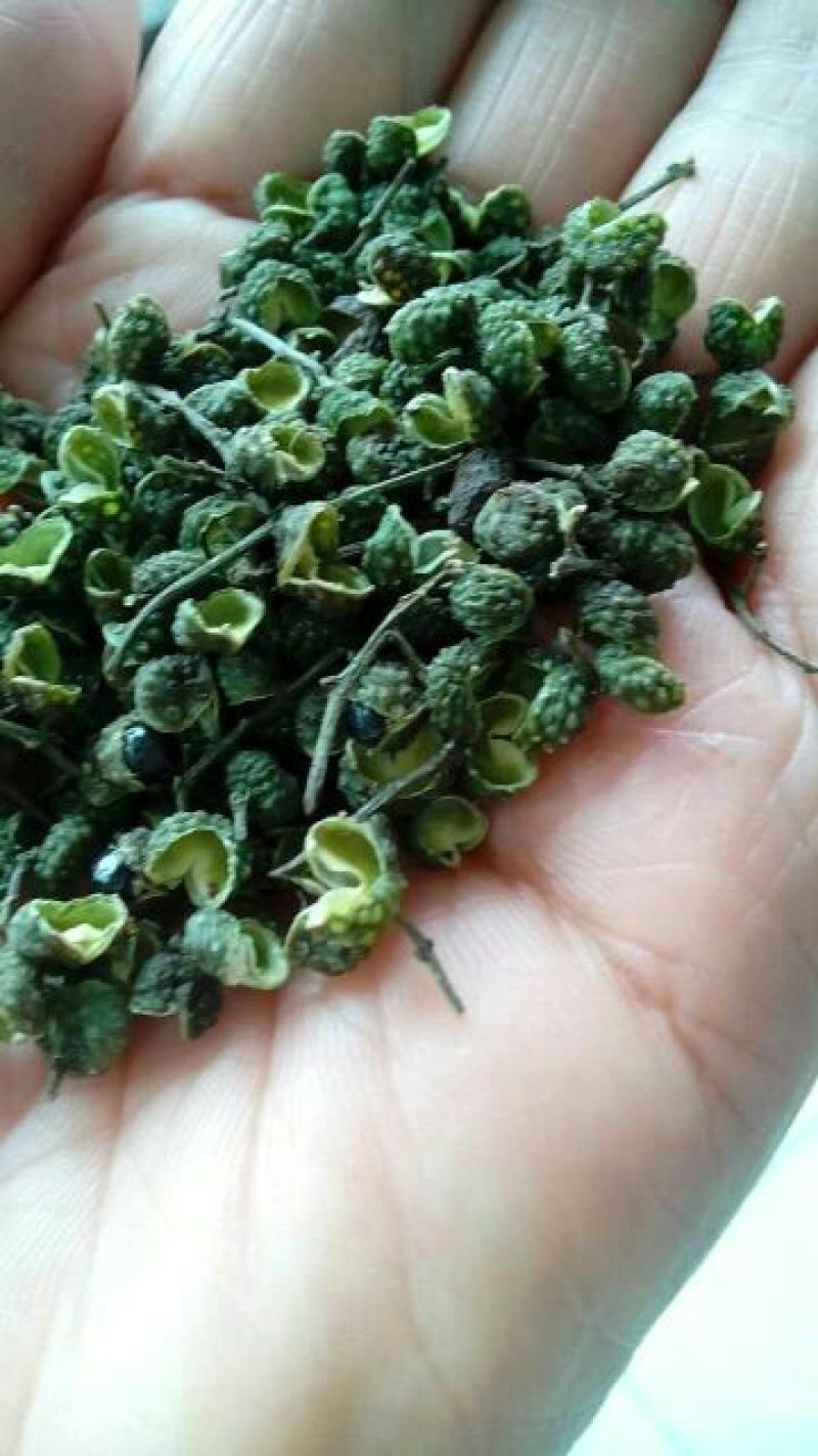 九叶青花椒一级干，可少量发货。货真价实，绝不以次充好