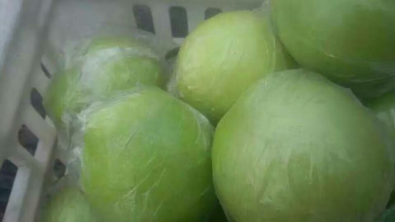 皇冠梨纸加膜500~550g