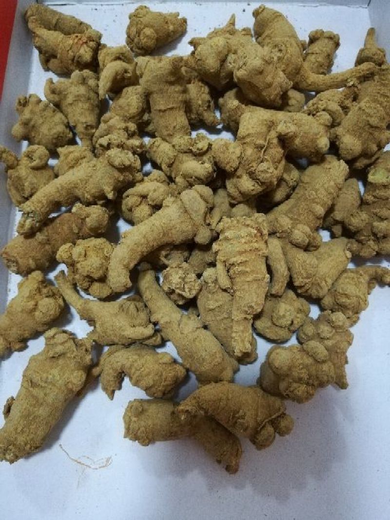 三七选货60头