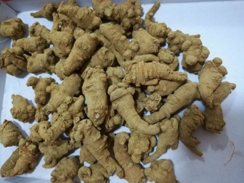 三七选货60头