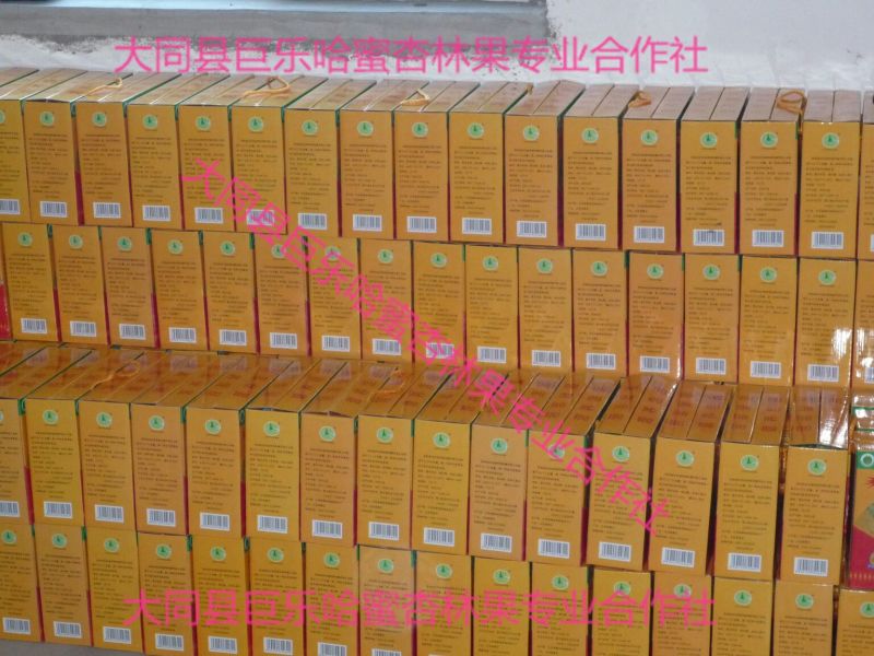 哈密杏50mm以上