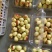 大荔温棚冬枣