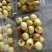 大荔冬枣产地直发电商平台对接平台合作发货