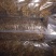 脱水长豆角精品干豆角