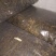 脱水长豆角精品干豆角