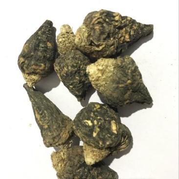 黑玛卡黑色
