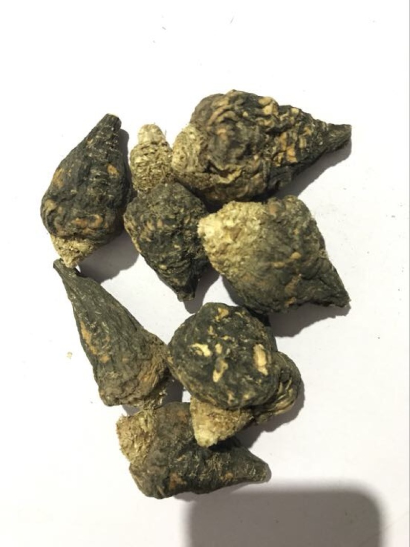 黑玛卡黑色