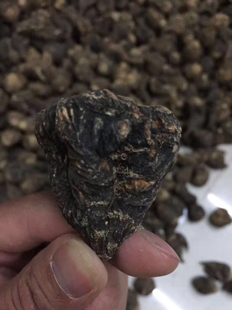 黑玛卡黑色