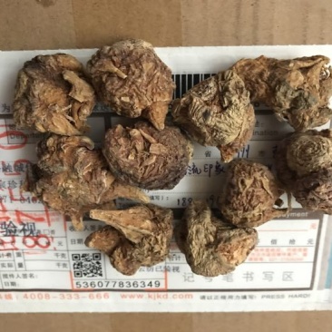 黑玛卡紫色