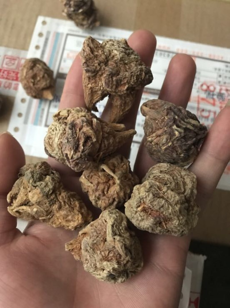 黑玛卡紫色