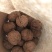 大泡核桃去皮干