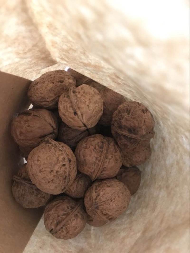 大泡核桃去皮干