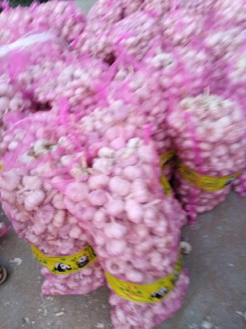 大蒜混级统货干蒜