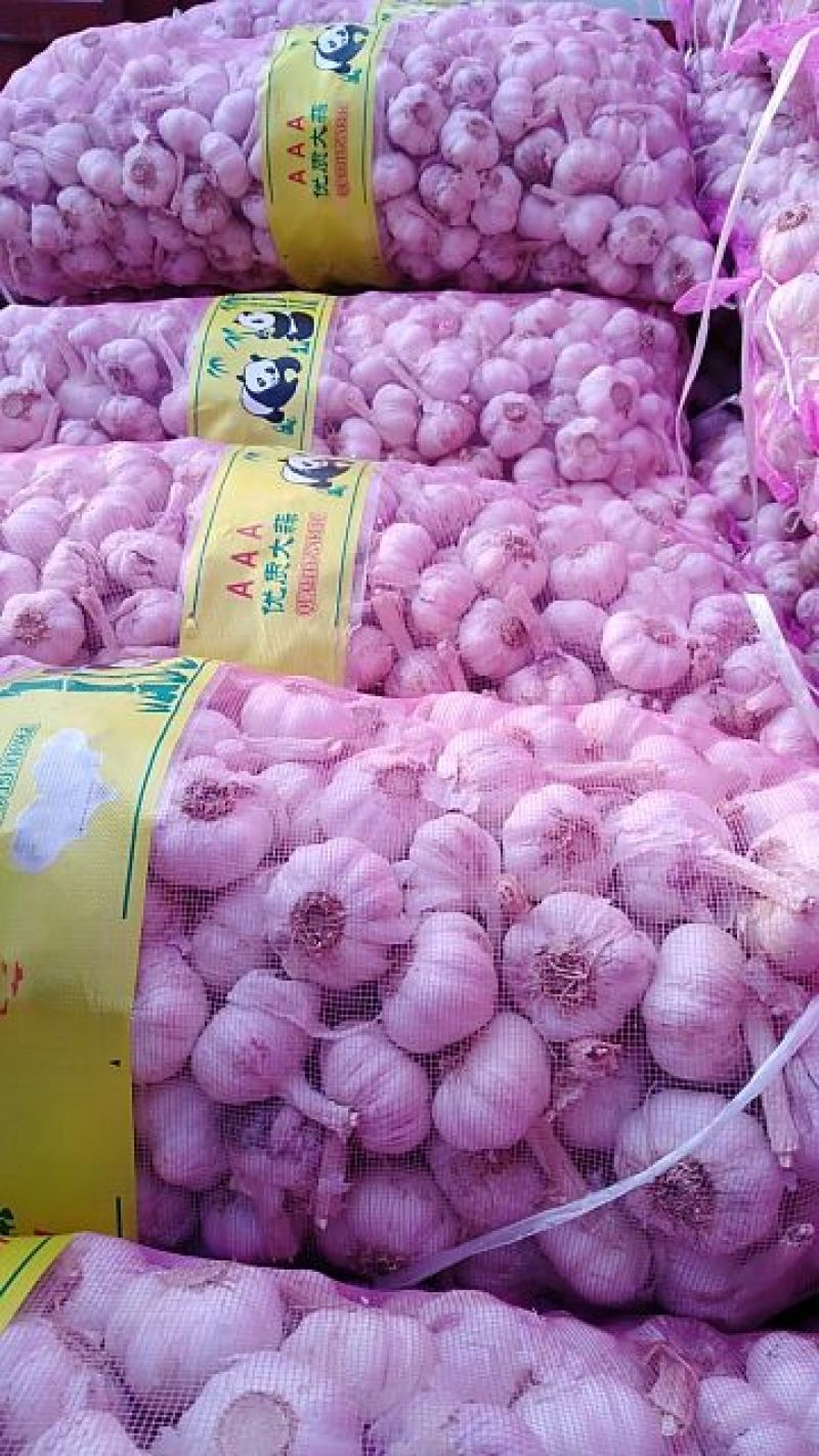 大蒜混级统货干蒜