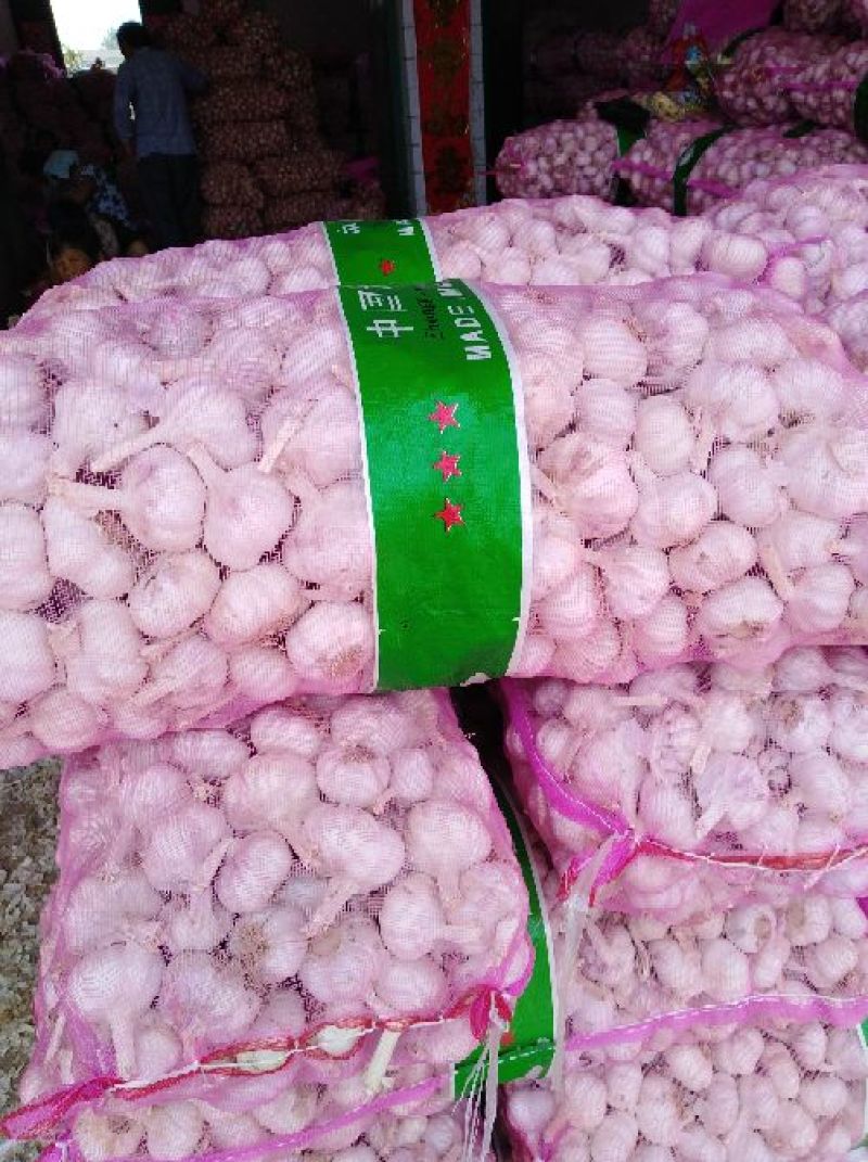 大蒜混级统货干蒜