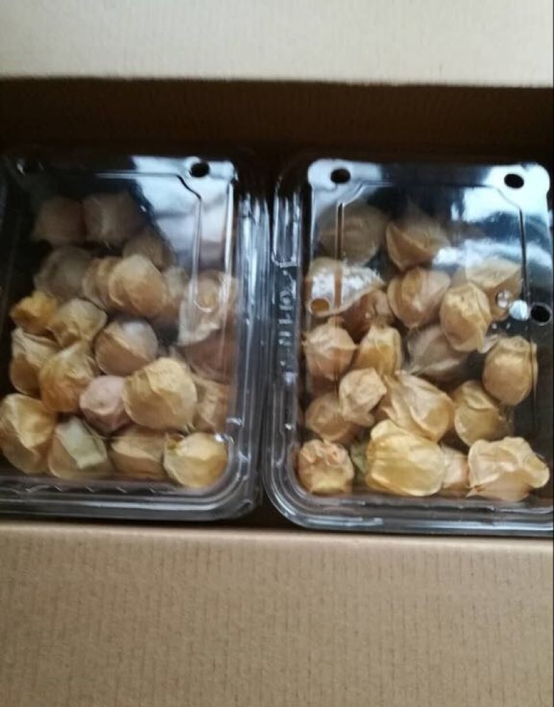 灯笼果3g以上