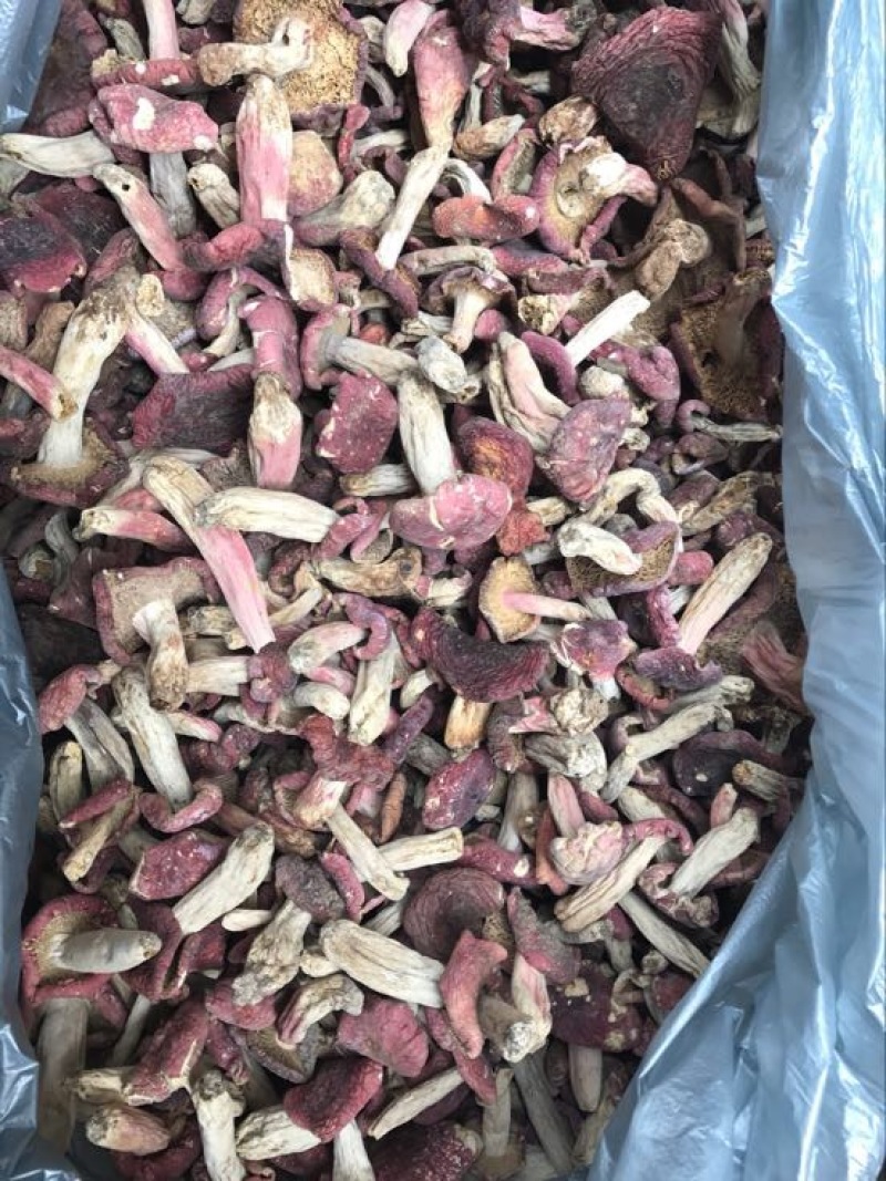 红菇0.01%1%一级5~8cm