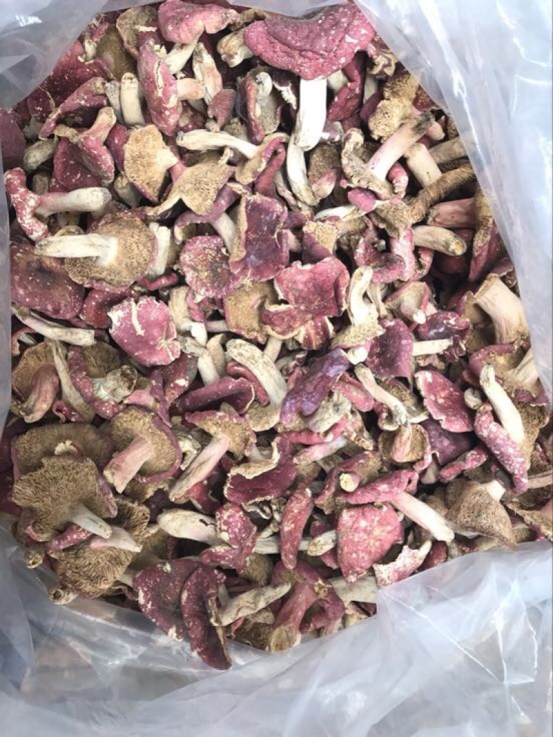 红菇0.01%1%一级5~8cm