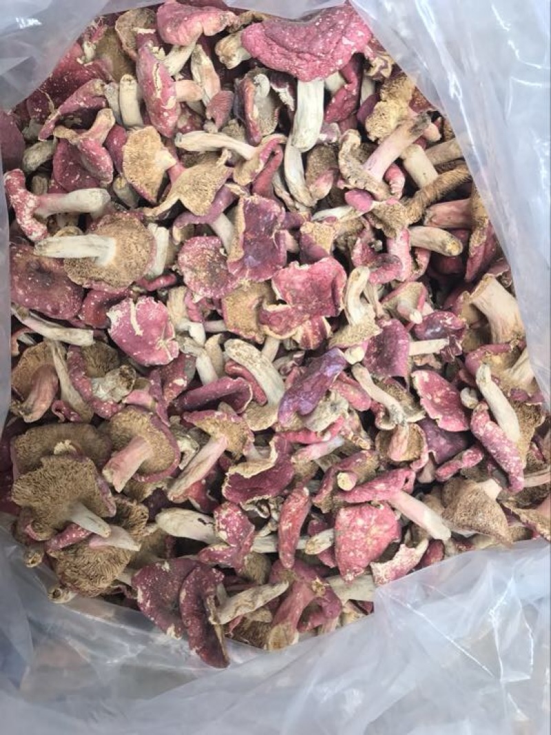 红菇0.01%1%一级5~8cm