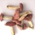 红菇0.01%1%一级5~8cm