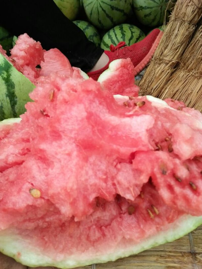 西农8号西瓜8斤打底9成熟头茬，产地直供，一手货源