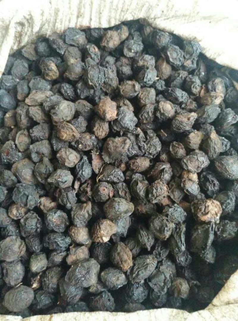 药用乌梅