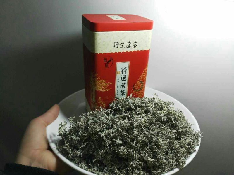 【有好货】福藤藤茶特级嫩芽保健养生茶125g一罐