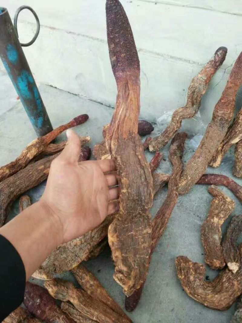 青海柴达木，沙漠锁阳选货500克，柴达木纯野生