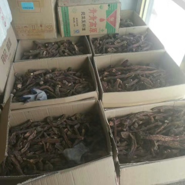 青海柴达木，沙漠锁阳选货500克，柴达木纯野生