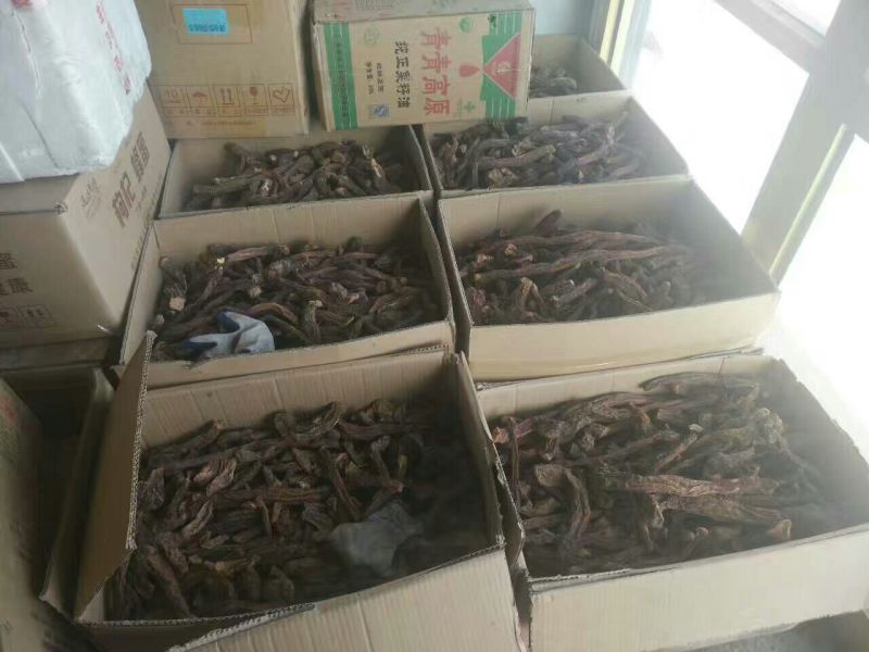 青海柴达木，沙漠锁阳选货500克，柴达木纯野生