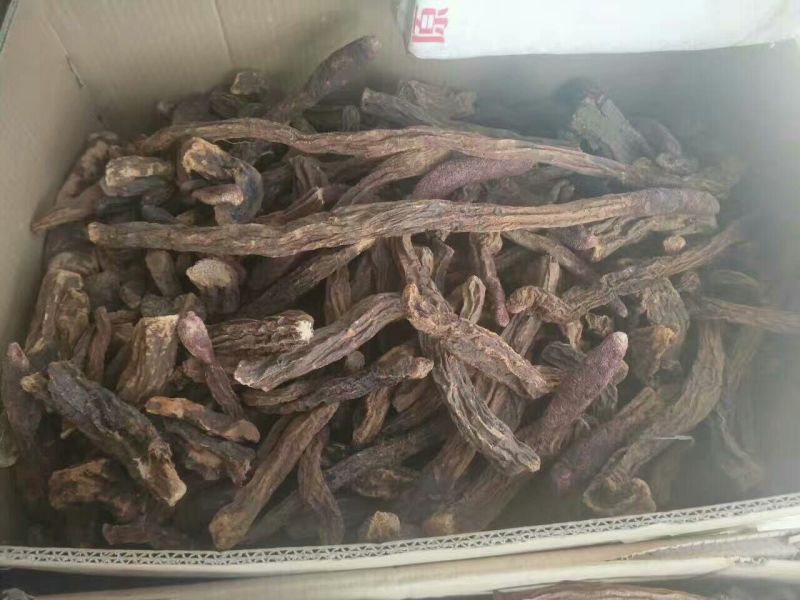 青海柴达木，沙漠锁阳选货500克，柴达木纯野生