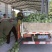 西州蜜瓜2斤以上椭圆形