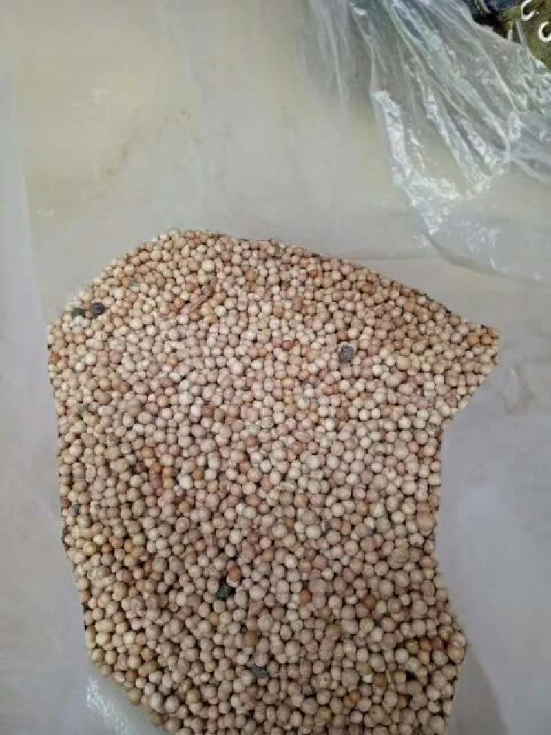 云南重楼鲜货统个