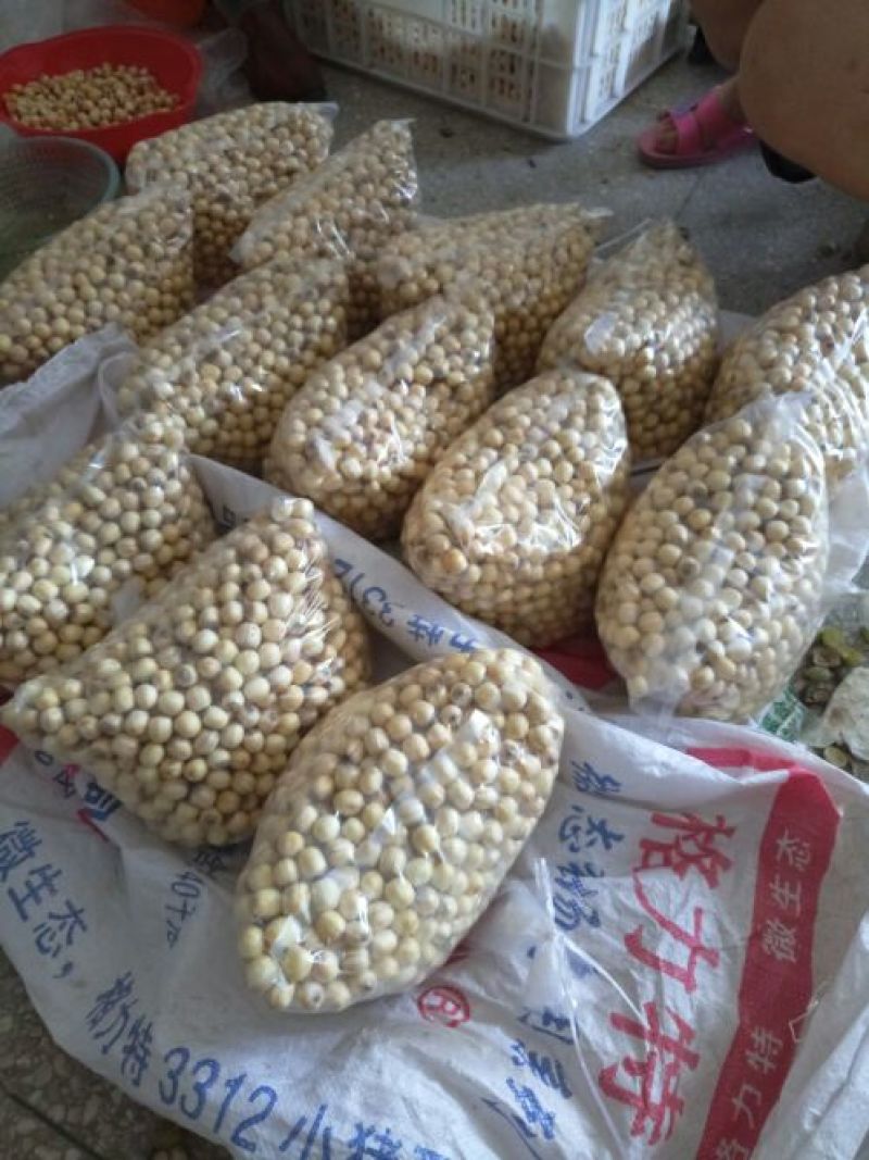 红莲子特级鲜莲子