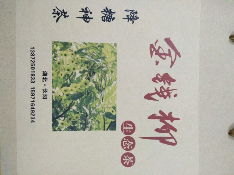 青钱柳茶一级