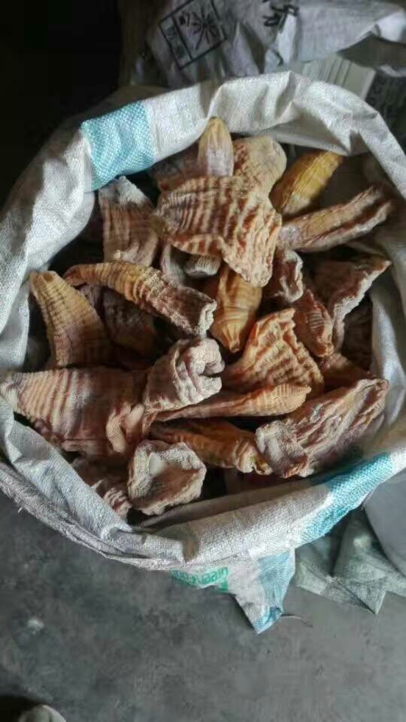 水煮笋干淡笋干