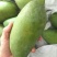 大青芒10两以上